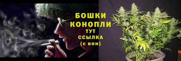 каннабис Корсаков